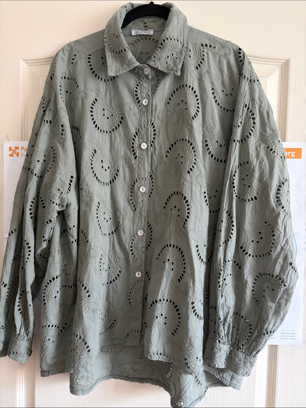 Boho Floral Eyelet Embroidery oversized button down cotton Top Sage Green